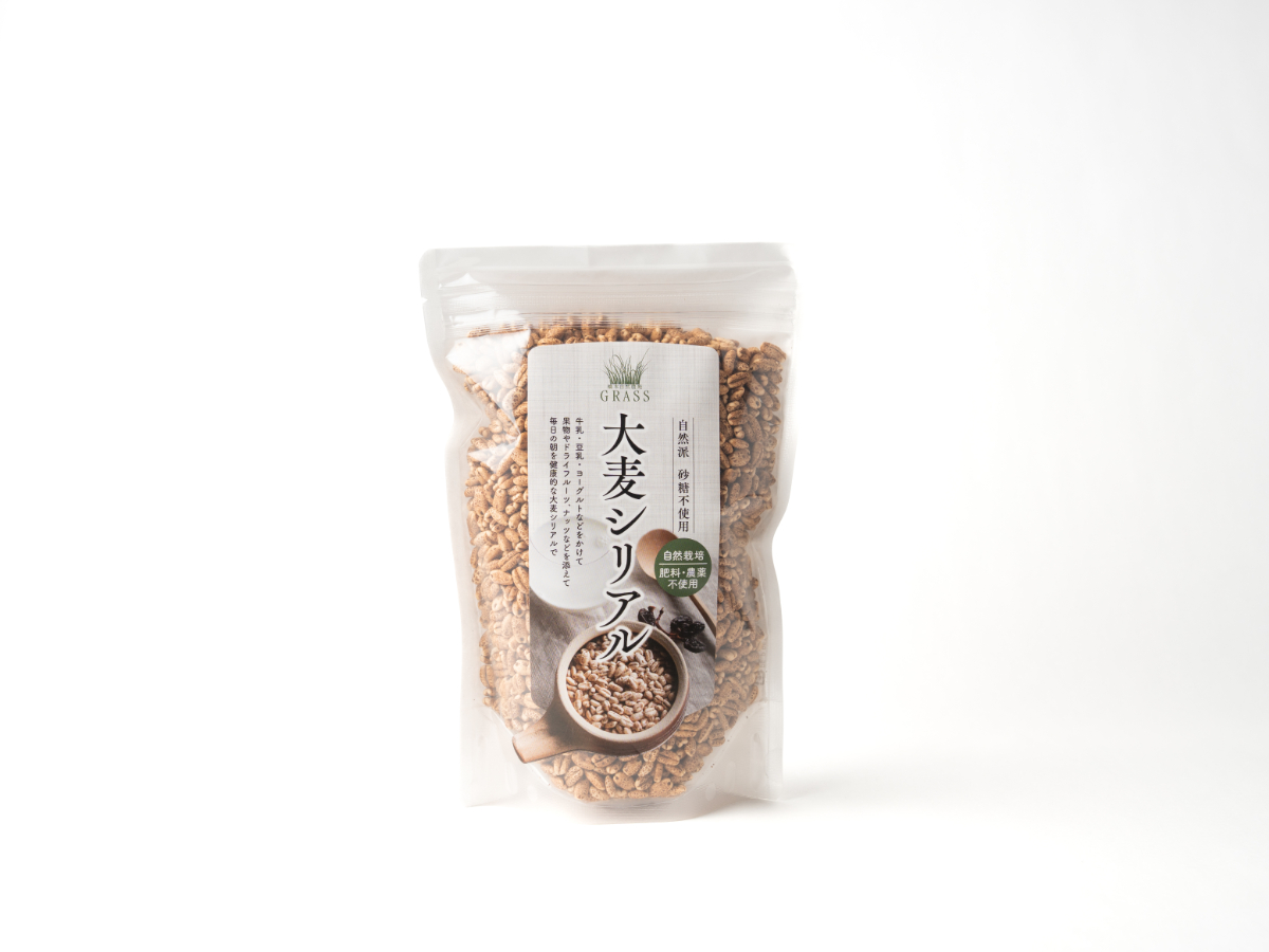 hasimoto002